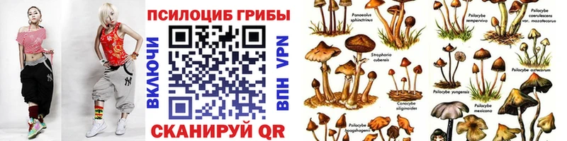 Галлюциногенные грибы прущие грибы  Сатка 